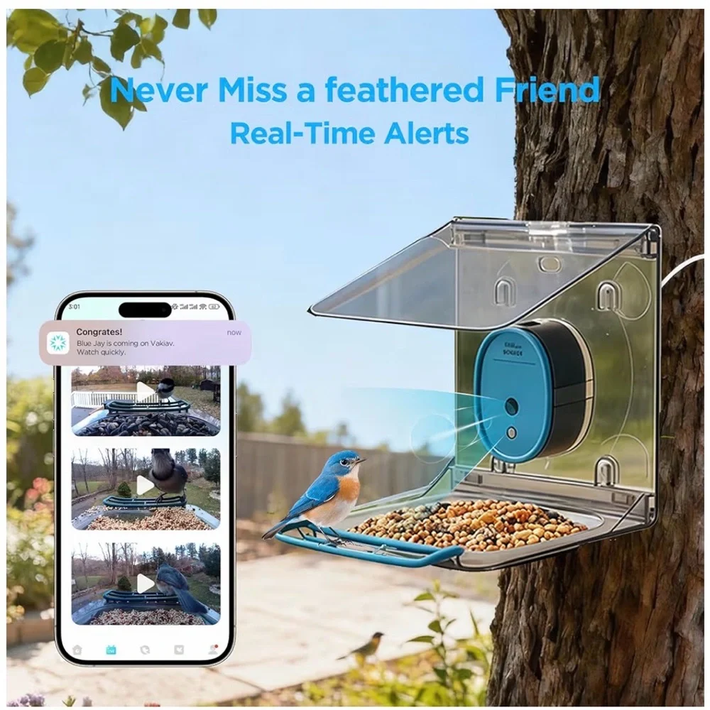 Bird Feeder with Camera - Blue